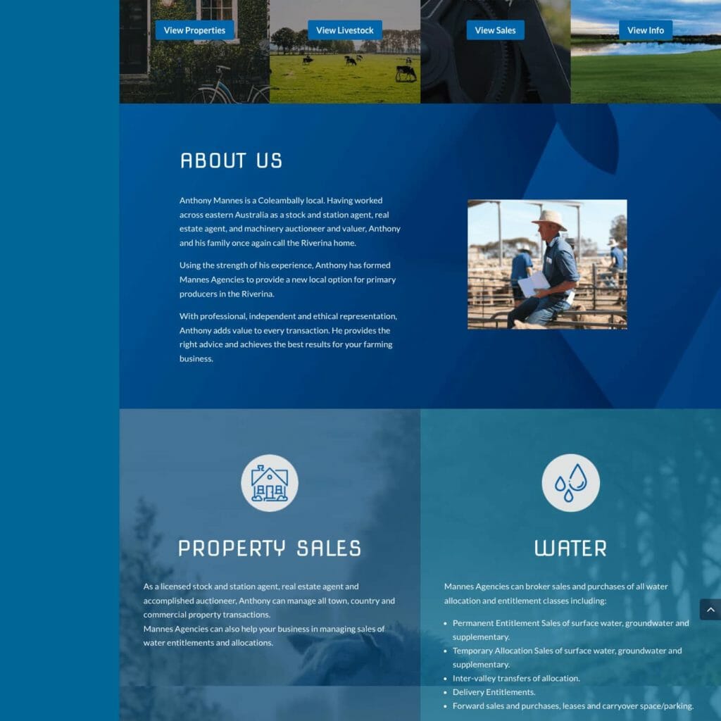 Mannes Agencies Website