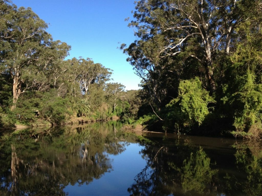 Murray River